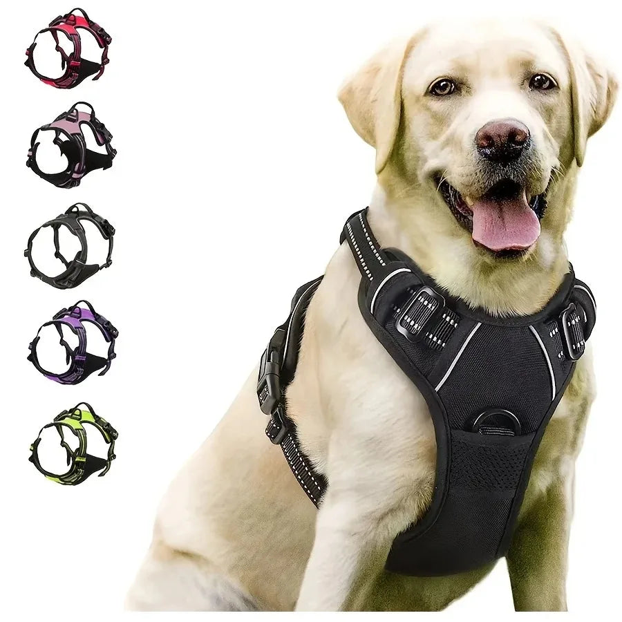 Dog Collars Harness