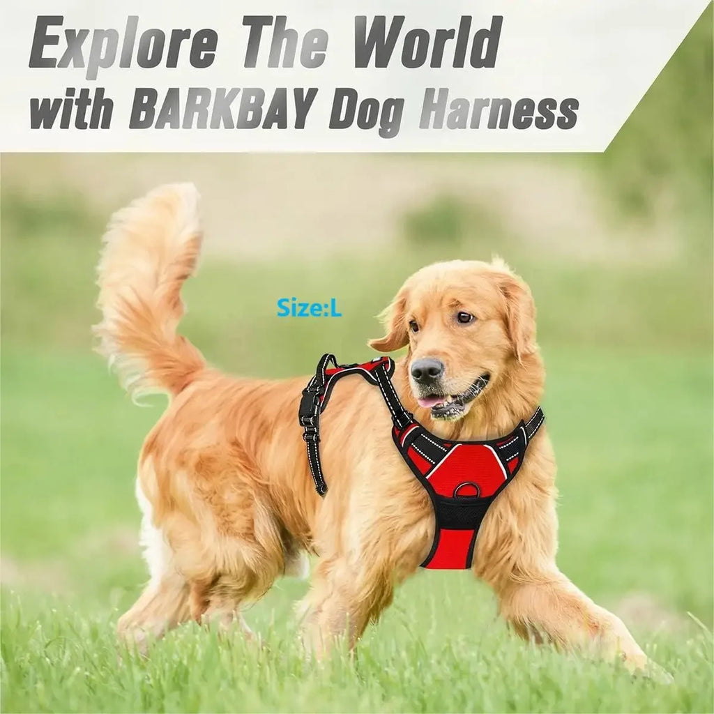 Dog Collars Harness
